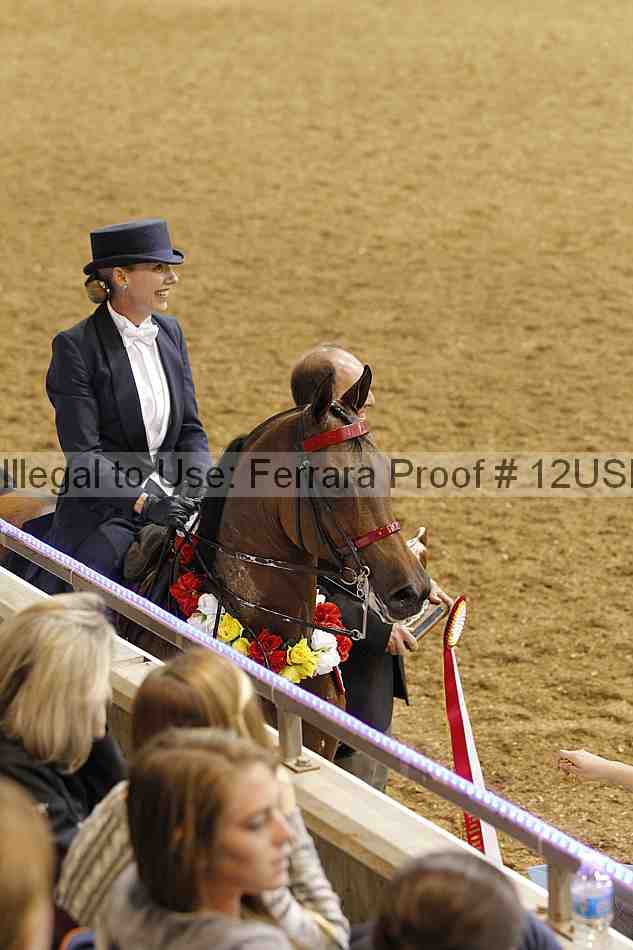 Proof 12usn_05297