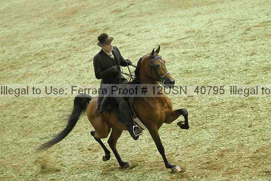 Proof 12usn_40795
