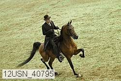 12usn_40795 proof