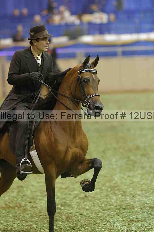 Proof 12usn_40796