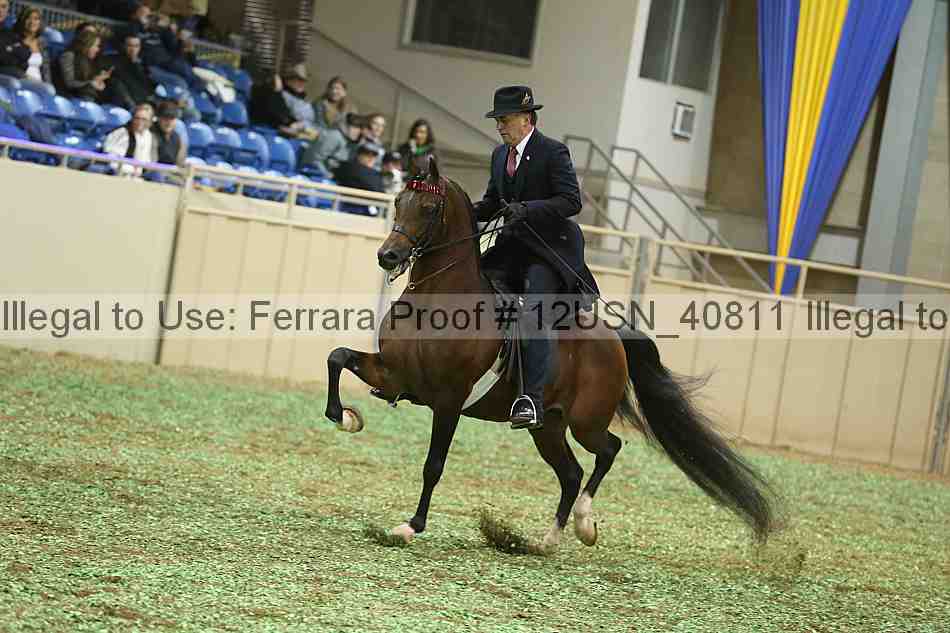 Proof 12usn_40811