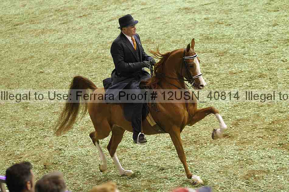 Proof 12usn_40814