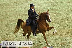 12usn_40814 proof