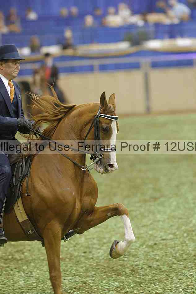 Proof 12usn_40815
