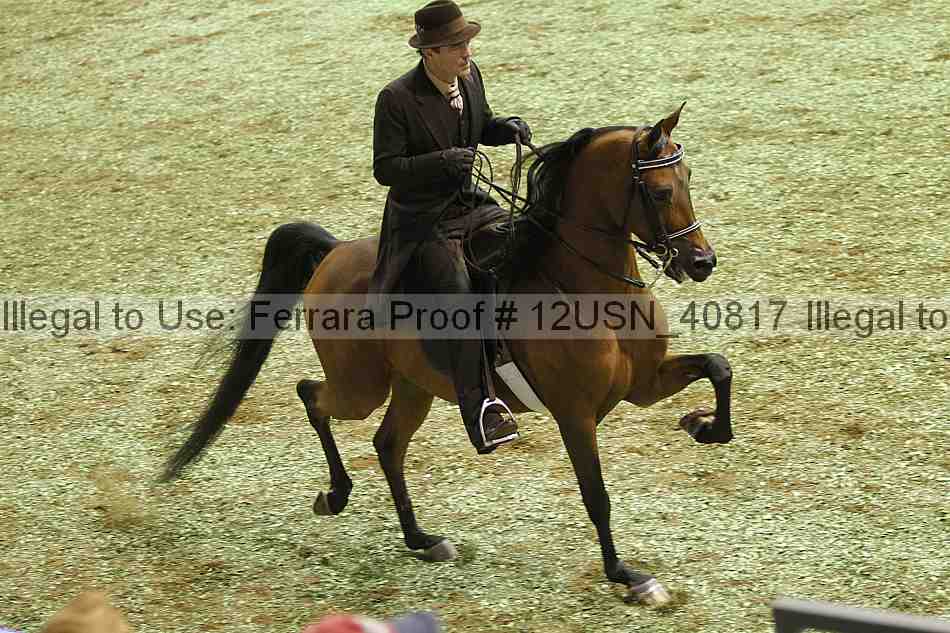 Proof 12usn_40817
