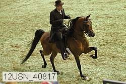 12usn_40817 proof