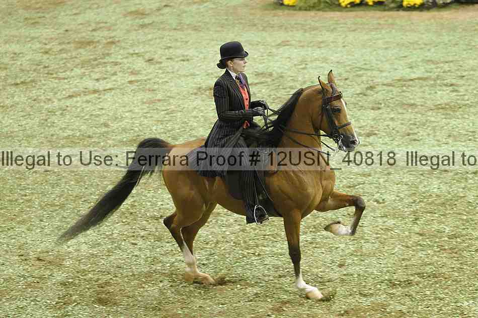 Proof 12usn_40818