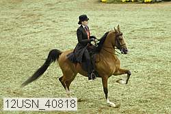 12usn_40818 proof