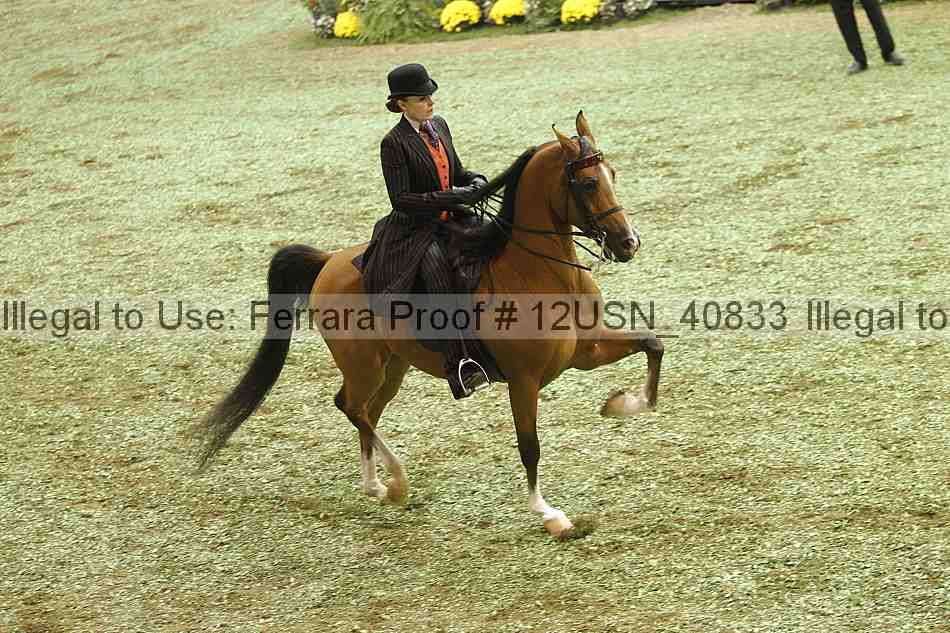 Proof 12usn_40833