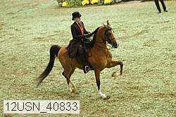 12usn_40833 proof
