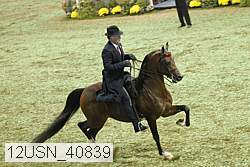 12usn_40839 proof