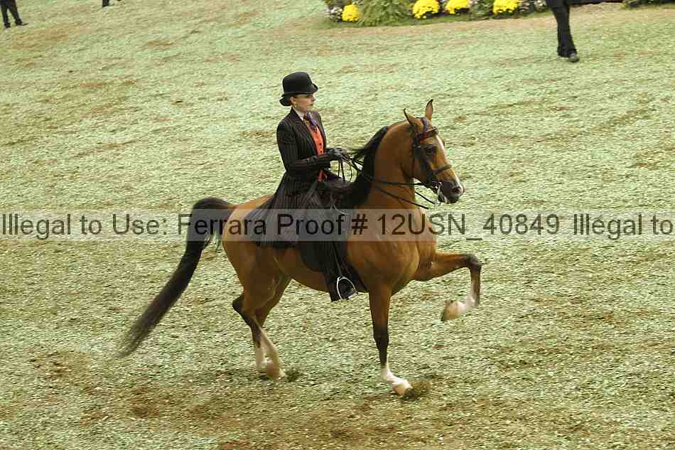 Proof 12usn_40849
