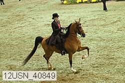 12usn_40849 proof