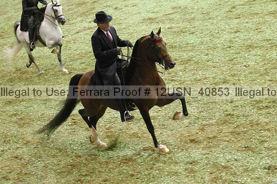 Proof 12usn_40853