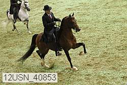 12usn_40853 proof