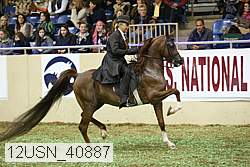 12usn_40887 proof