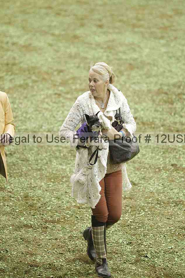Proof 12usn_40953