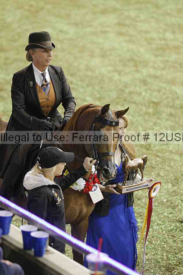 Proof 12usn_40956