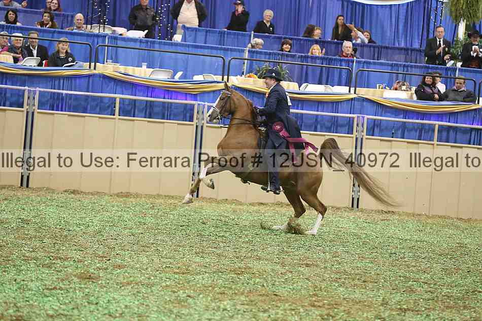 Proof 12usn_40972