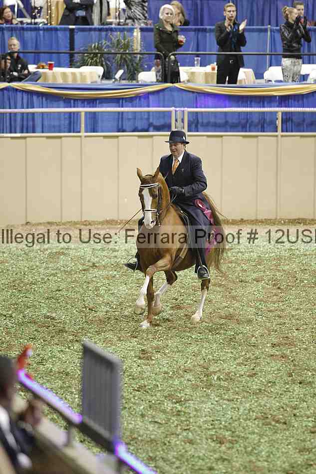 Proof 12usn_40980