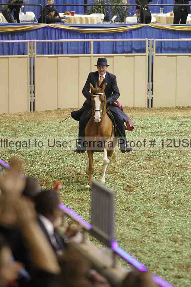 Proof 12usn_40981