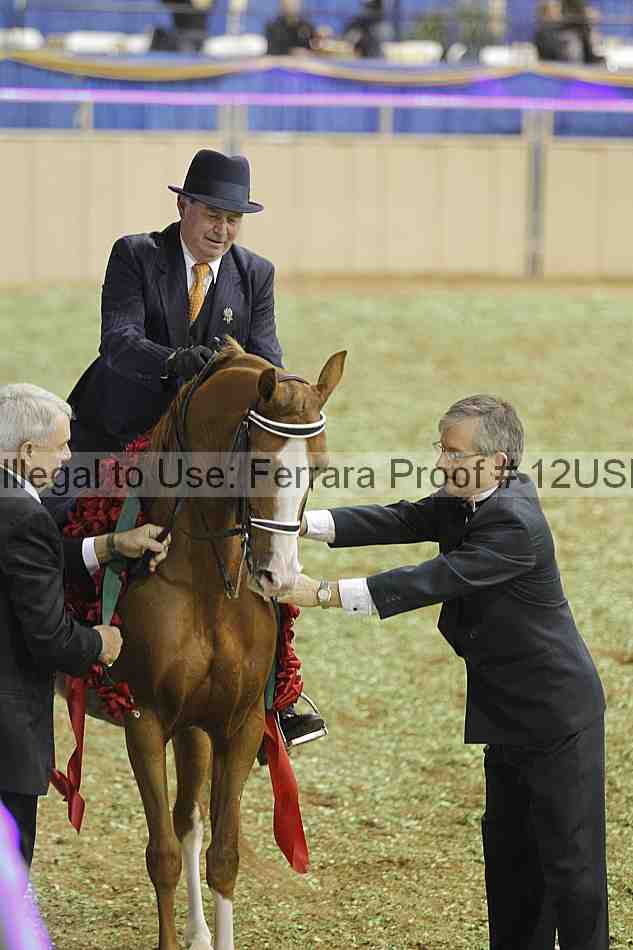 Proof 12usn_40988