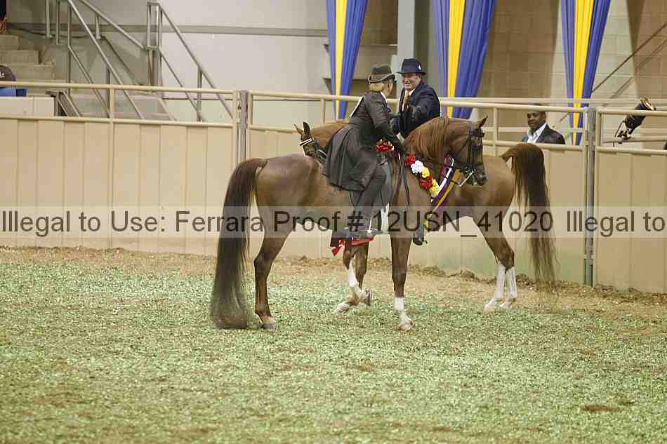 Proof 12usn_41020