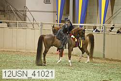 12usn_41021 proof