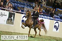 12usn_41031 proof