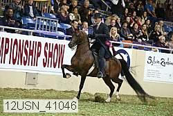12usn_41046 proof
