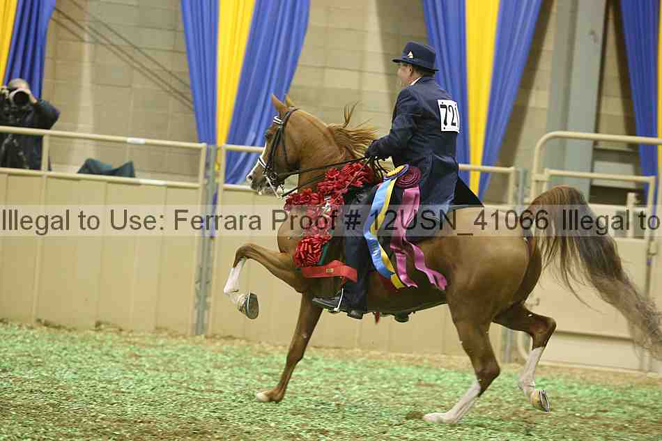 Proof 12usn_41066