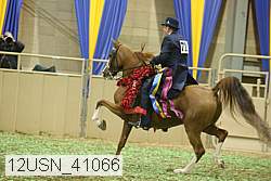 12usn_41066 proof