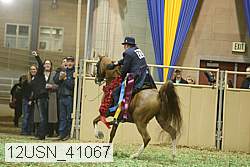 12usn_41067 proof