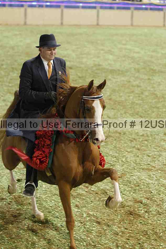 Proof 12usn_41071