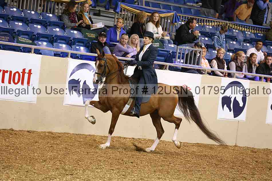 Proof 12usn_01795