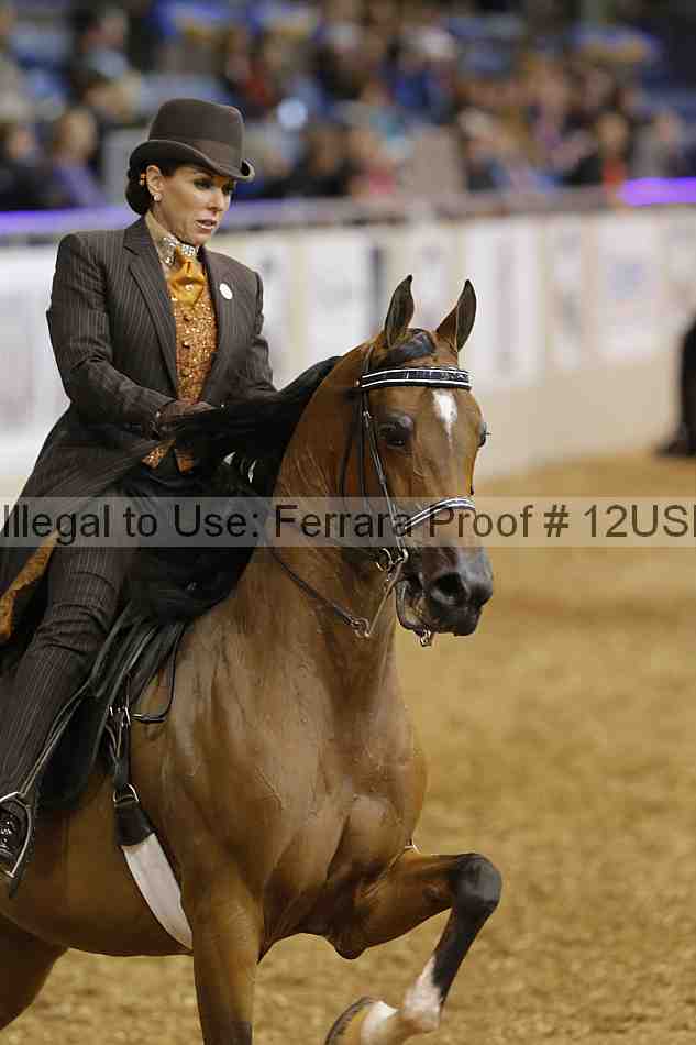 Proof 12usn_01806
