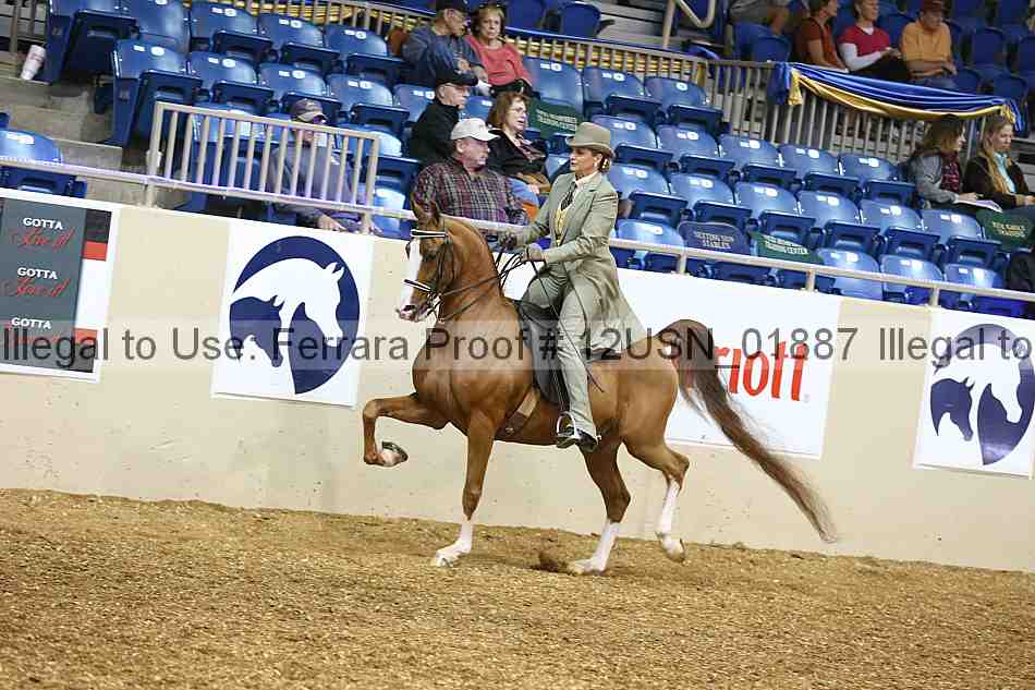 Proof 12usn_01887