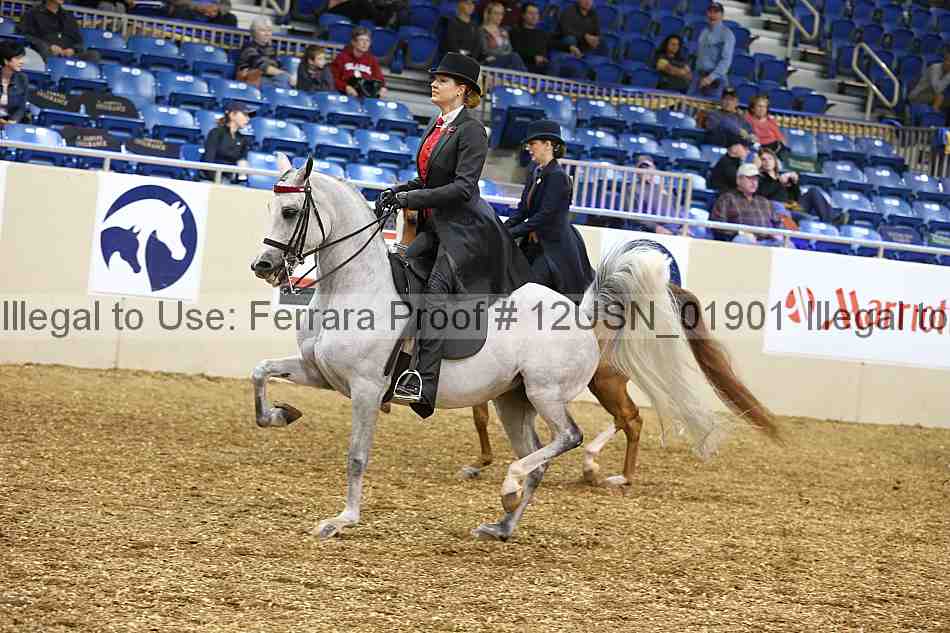 Proof 12usn_01901