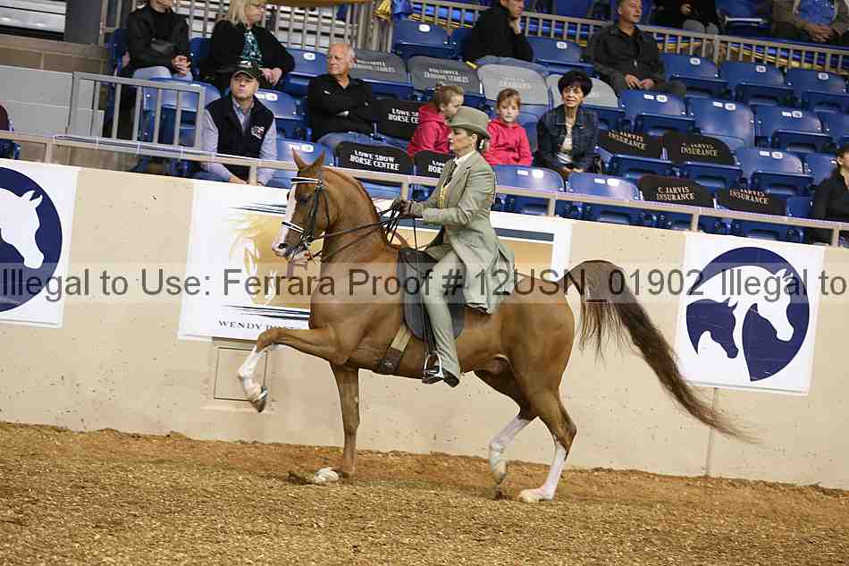 Proof 12usn_01902