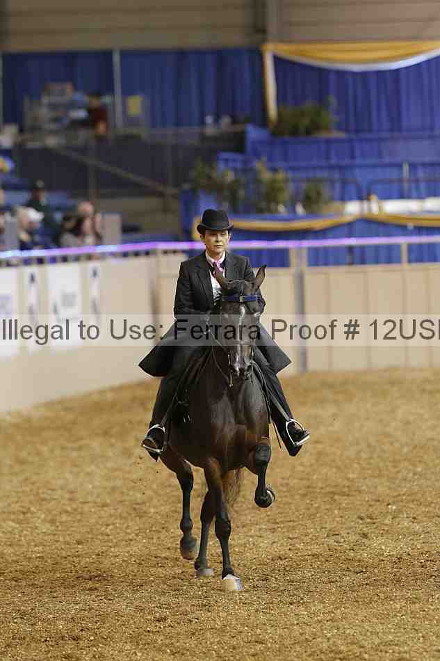 Proof 12usn_01908