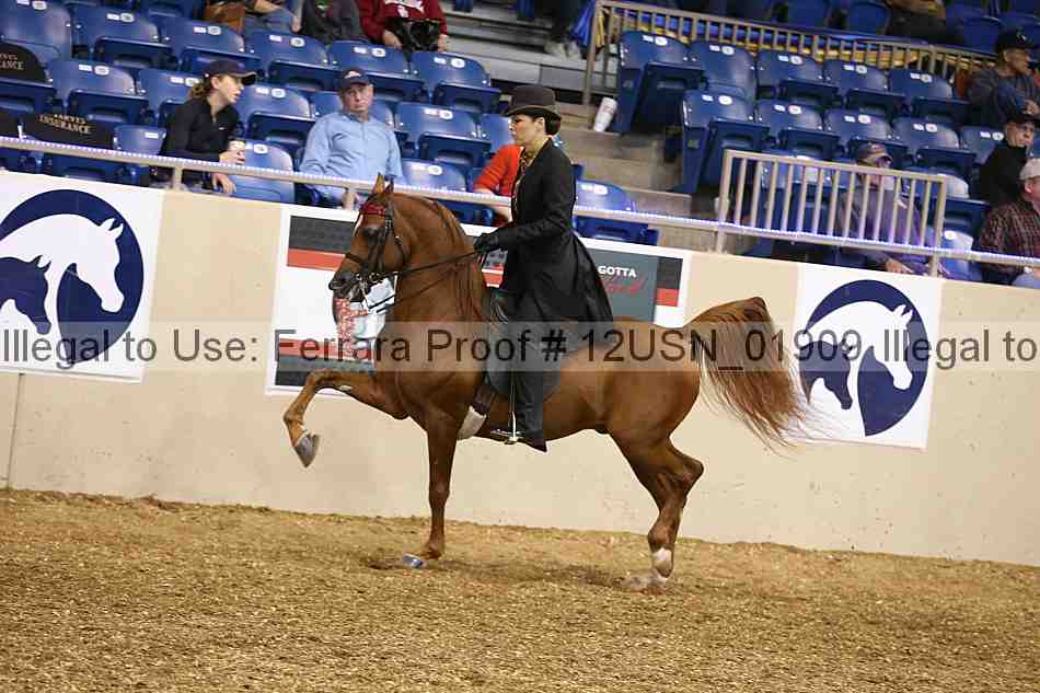 Proof 12usn_01909