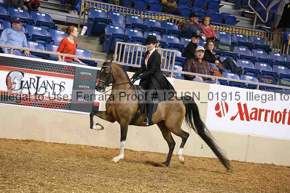 Proof 12usn_01915