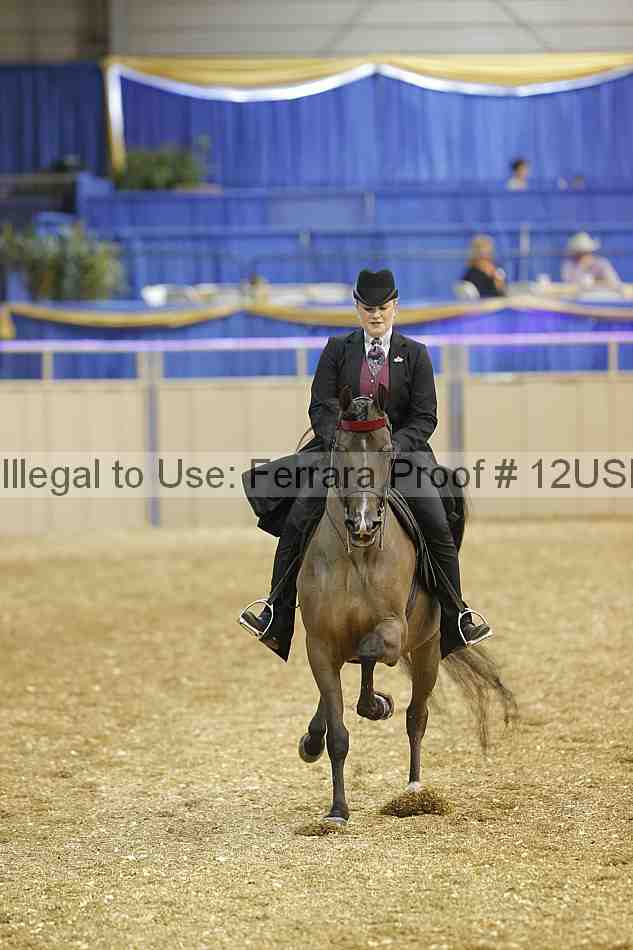 Proof 12usn_15276