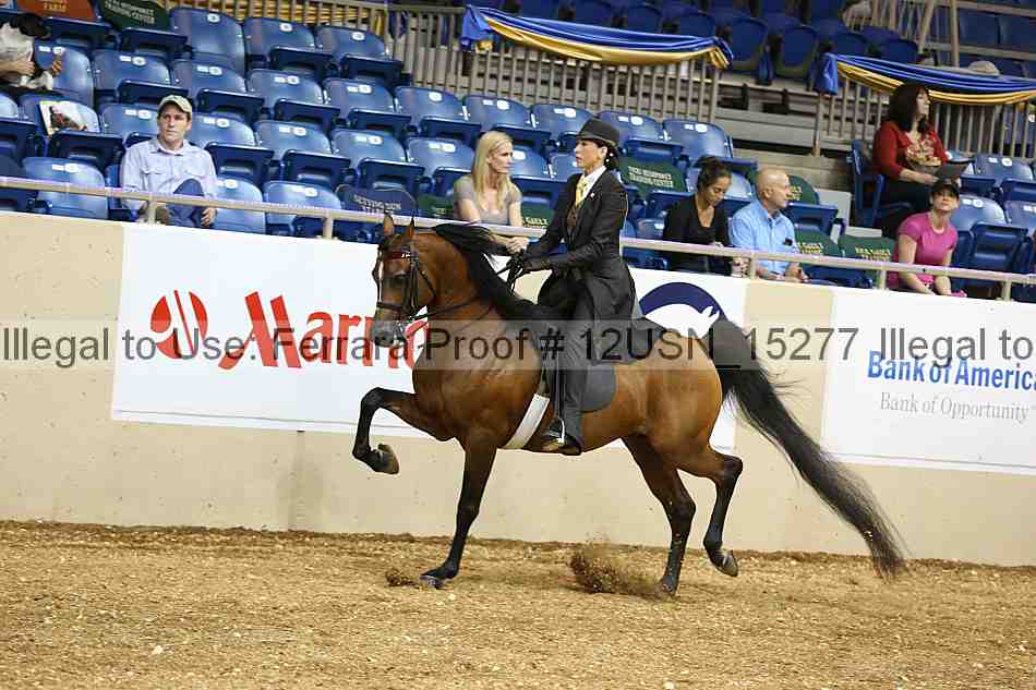 Proof 12usn_15277