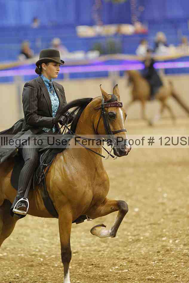 Proof 12usn_15288