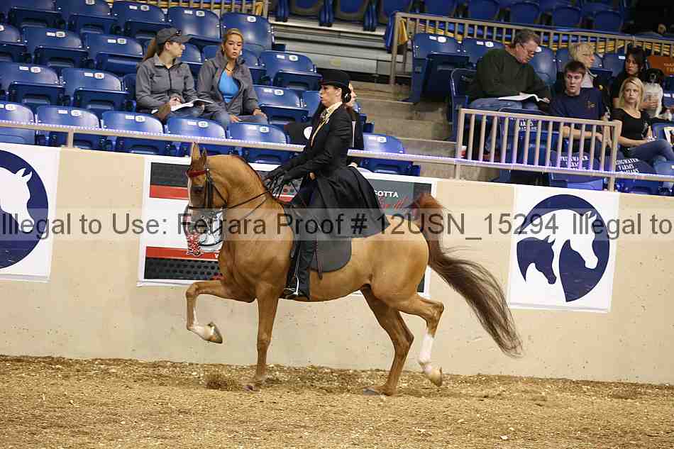 Proof 12usn_15294
