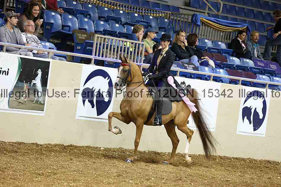 Proof 12usn_15342