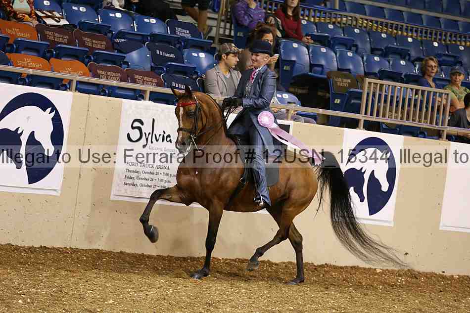 Proof 12usn_15344