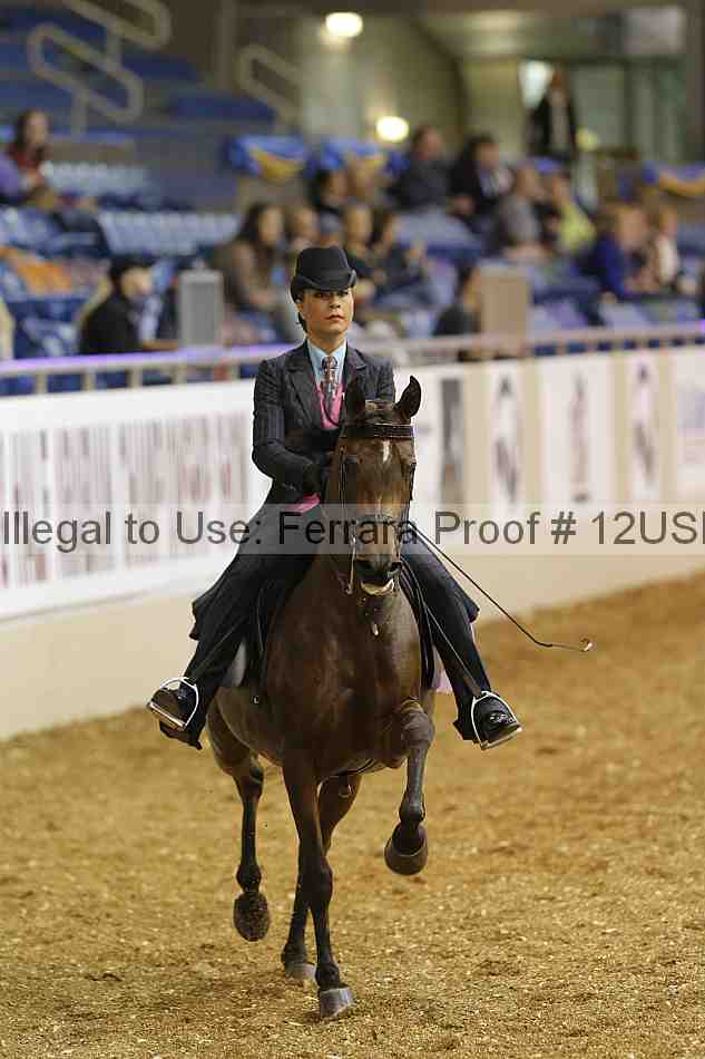 Proof 12usn_15355