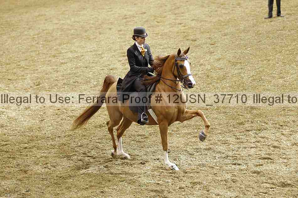 Proof 12usn_37710